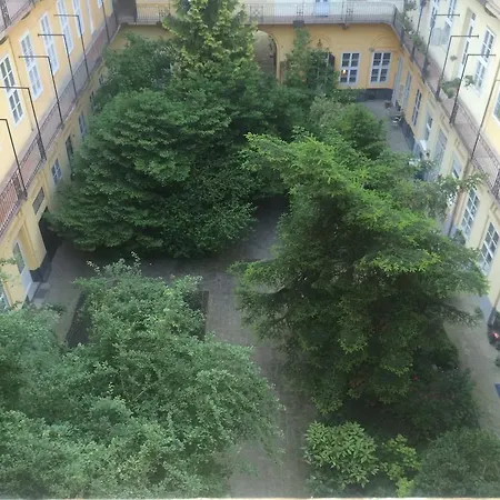 Judit Apartman *